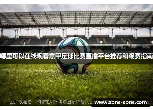 哪里可以在线观看意甲足球比赛直播平台推荐和观赛指南