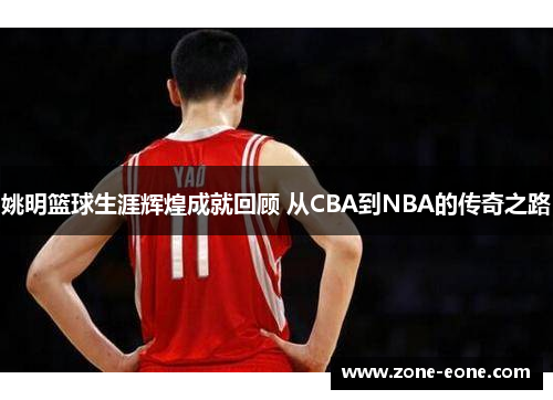 姚明篮球生涯辉煌成就回顾 从CBA到NBA的传奇之路