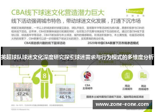 英超球队球迷文化深度研究探索球迷需求与行为模式的多维度分析