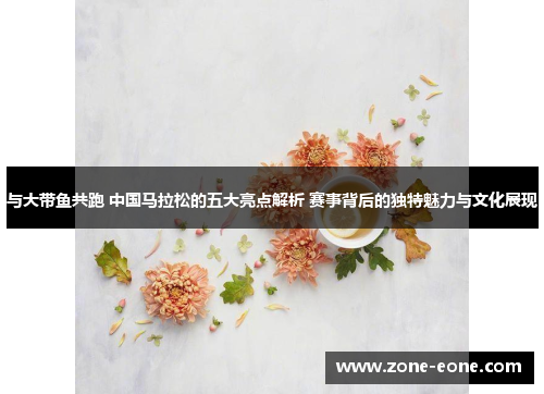 与大带鱼共跑 中国马拉松的五大亮点解析 赛事背后的独特魅力与文化展现